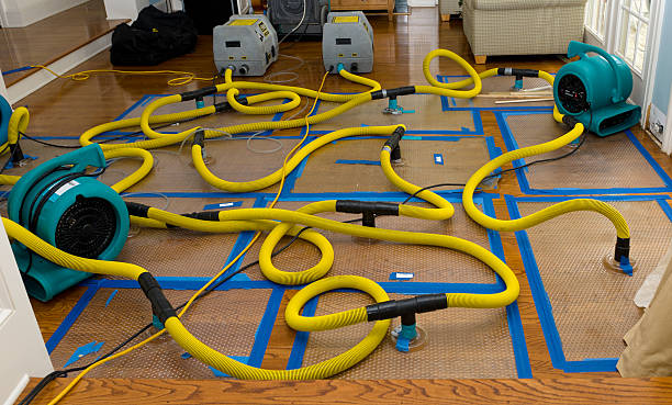 Professional Water Damage Restoration technician working in Fiskdale, MA
